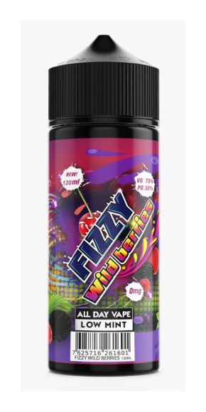 Fizzy Wild Berries 120ML